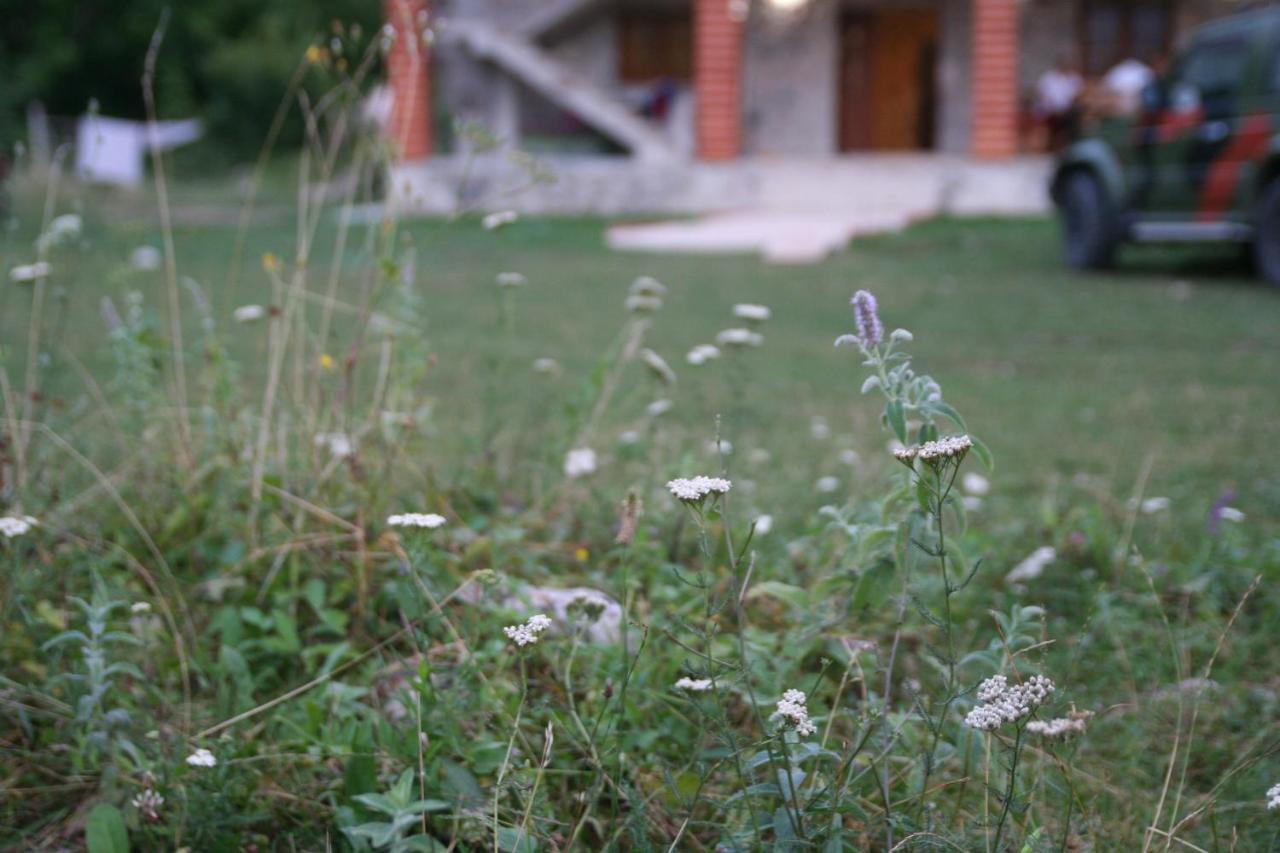 Hotel Bujtina Dreni Theth Zewnętrze zdjęcie